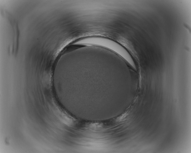 X0000099480156200805161143