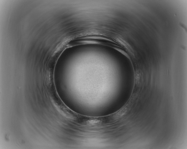 X0000099480158200805161143