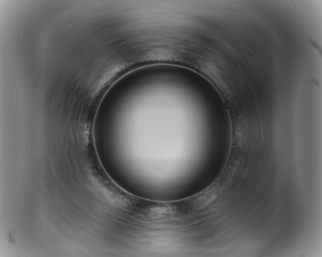 X0000099480160200805161143