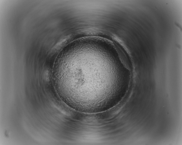 X0000099480161200805161143