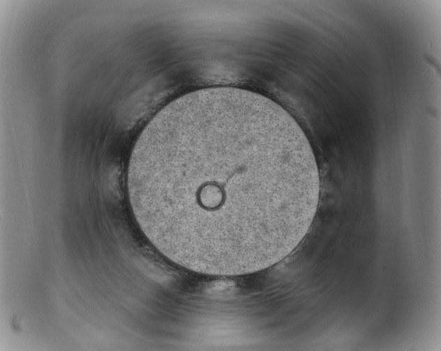 X0000099480162200805161143