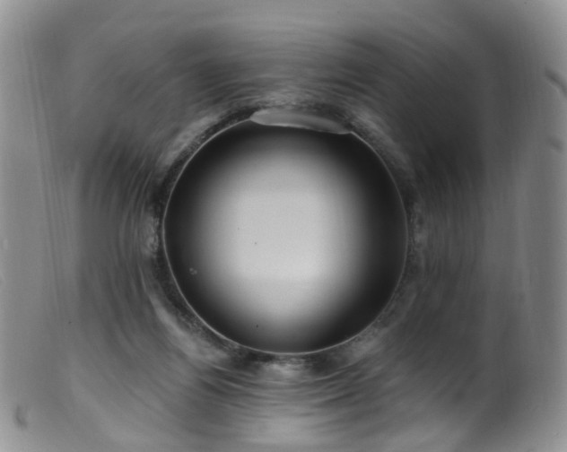 X0000099480164200805161143