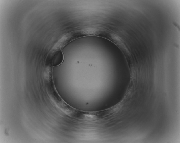 X0000099480167200805161143