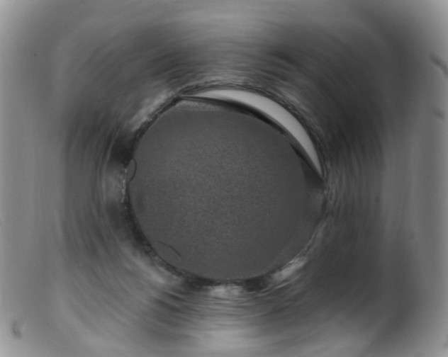 X0000099480168200805161143