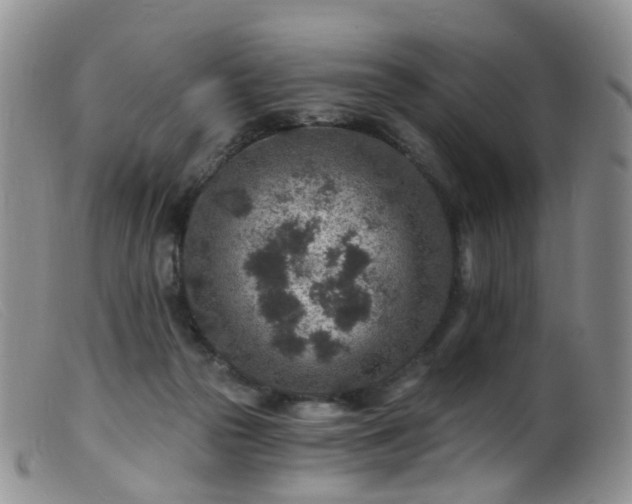X0000099480169200805161143