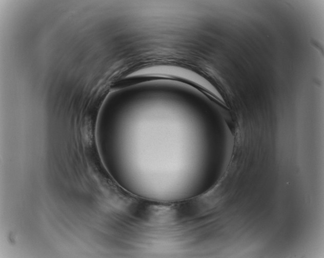 X0000099480170200805161143