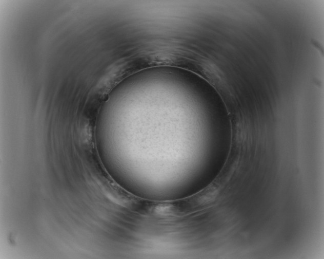 X0000099480173200805161143