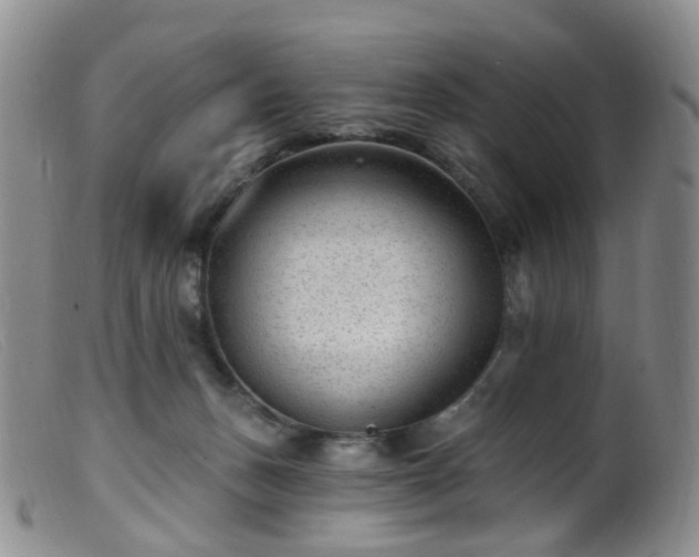 X0000099480175200805161143