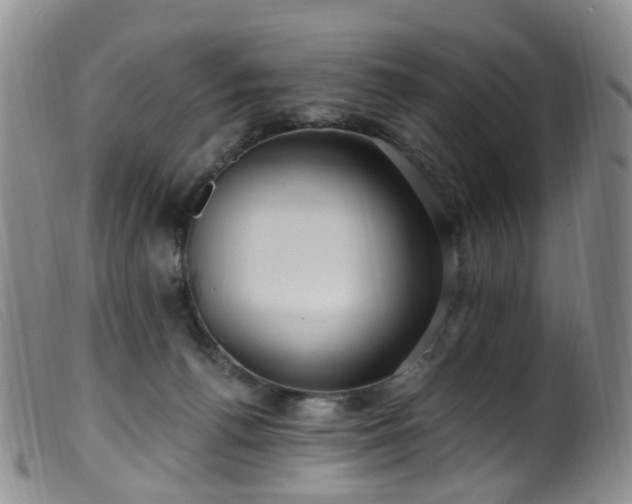 X0000099480176200805161143