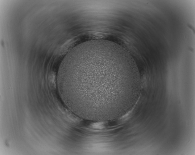 X0000099480178200805161143