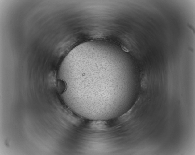 X0000099480179200805161143