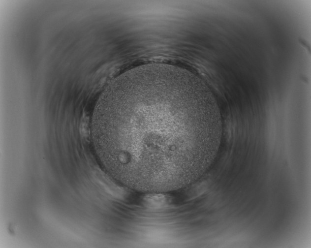 X0000099480181200805161143