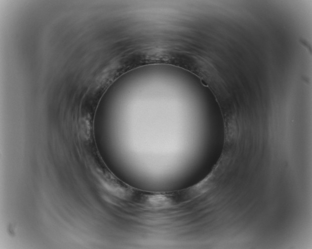 X0000099480183200805161143