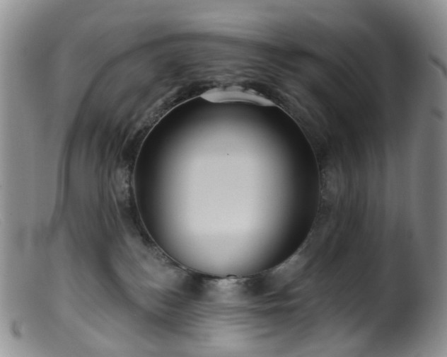 X0000099480184200805161143