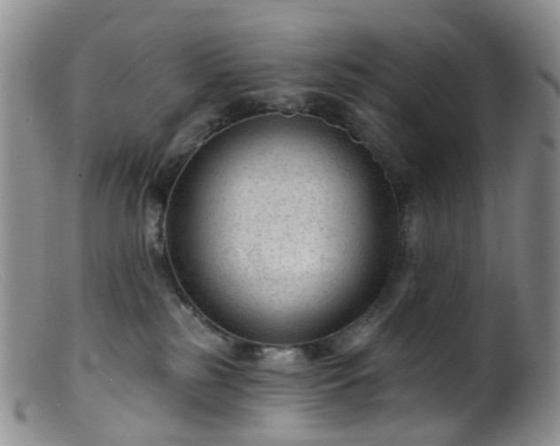 X0000099480185200805161143