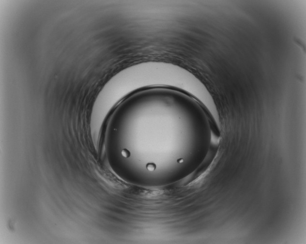 X0000099480186200805161143