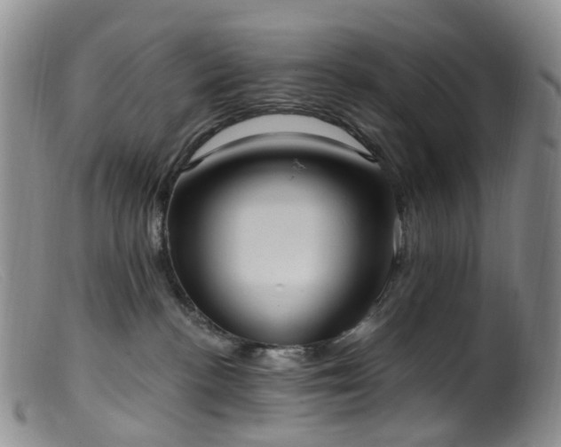 X0000099480188200805161143