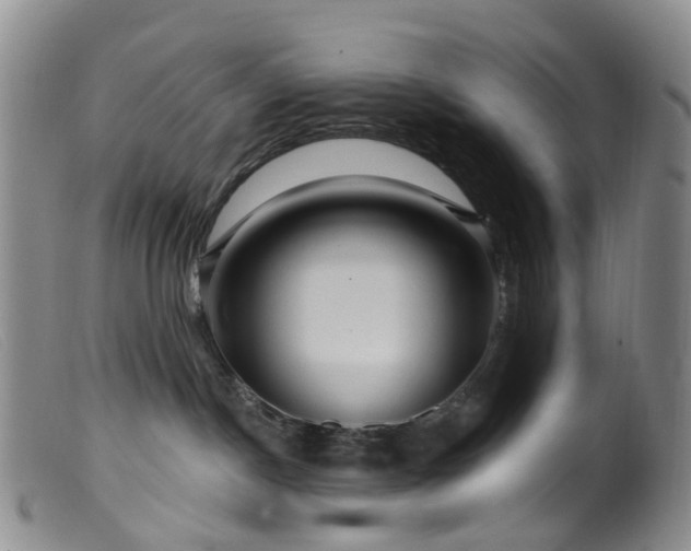 X0000099480190200805161143