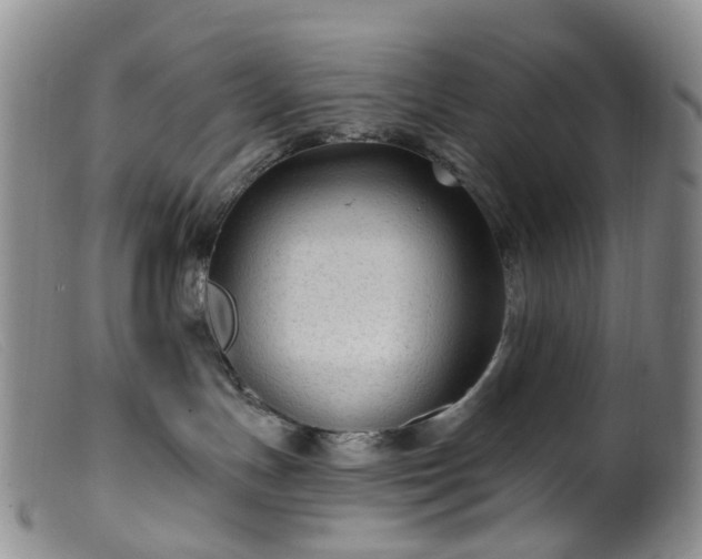 X0000099480191200805161143