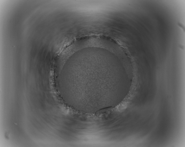 X0000099480192200805161143