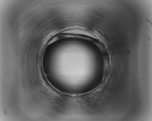 X0000099480193200805161143