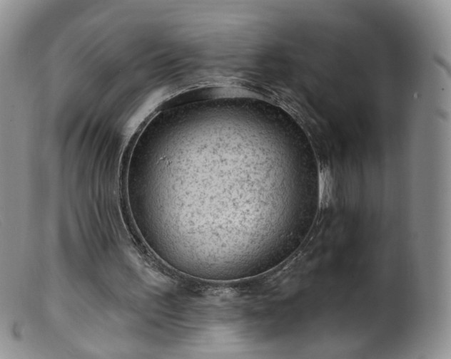 X0000099480195200805161143