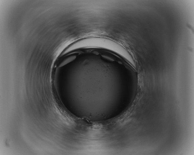 X0000099480196200805161143