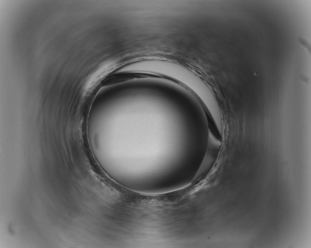 X0000099480197200805161143