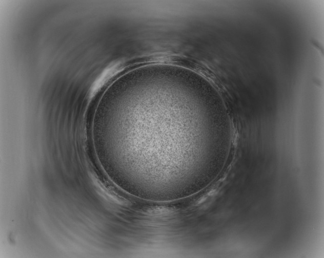 X0000099480198200805161143