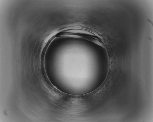 X0000099480200200805161143