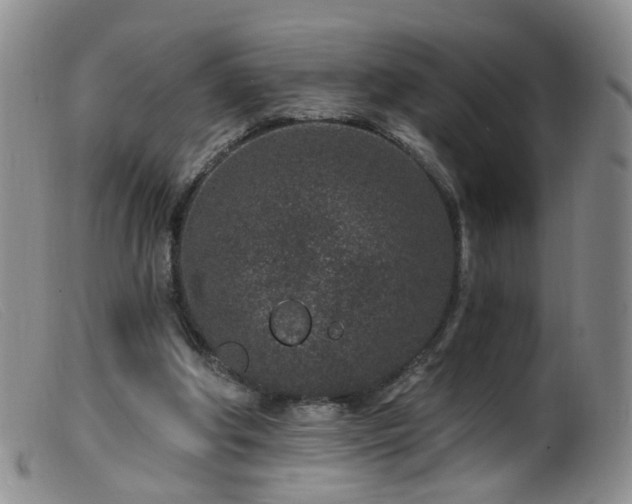 X0000099480202200805161143