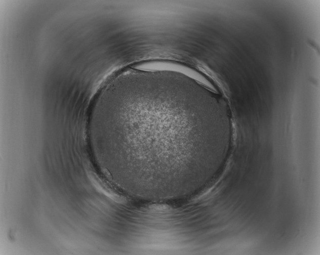X0000099480203200805161143