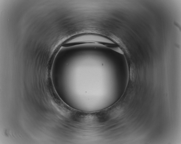 X0000099480204200805161143