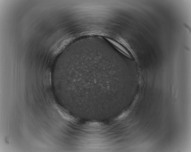 X0000099480205200805161143