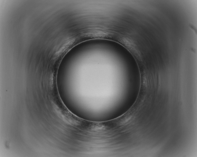 X0000099480206200805161143
