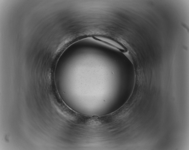 X0000099480207200805161143