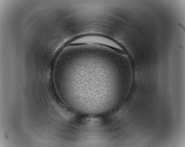 X0000099480208200805161142