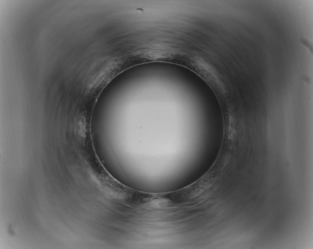 X0000099480210200805161142