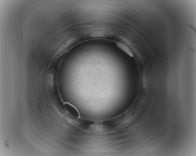 X0000099480211200805161142
