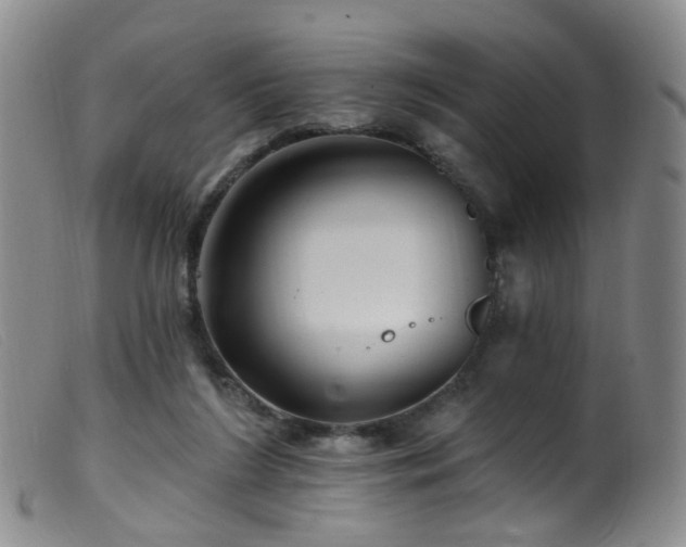 X0000099480212200805161142