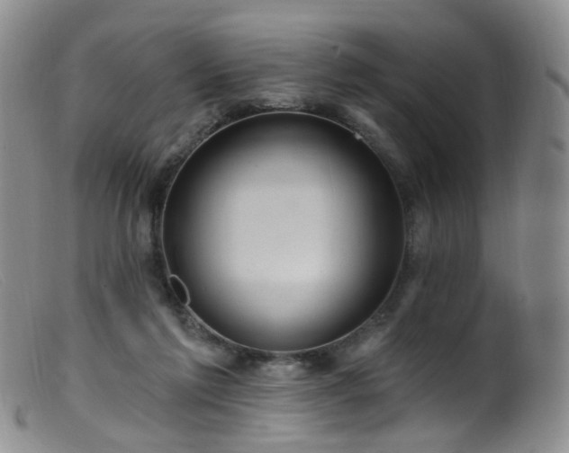 X0000099480213200805161142