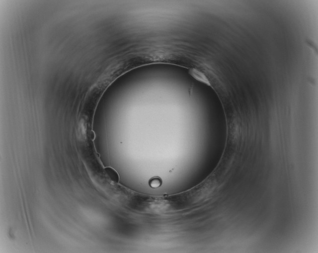 X0000099480214200805161142