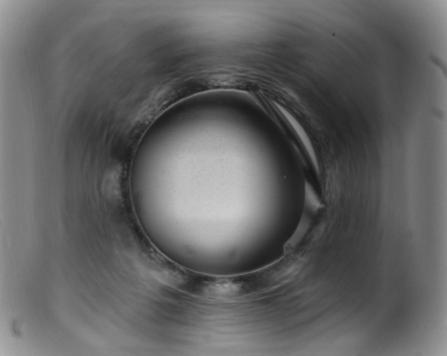 X0000099480217200805161142