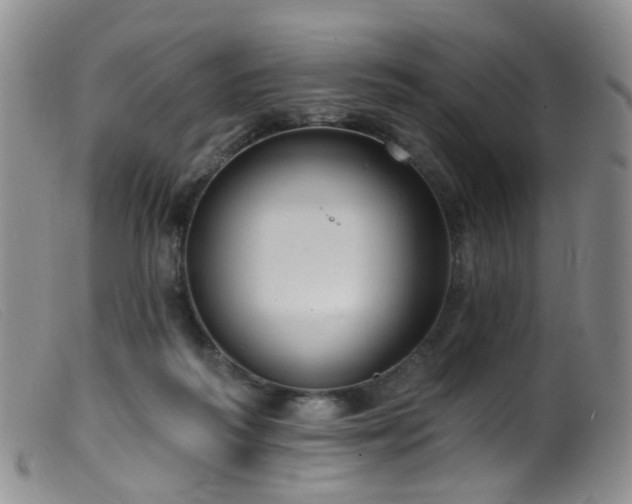 X0000099480218200805161142