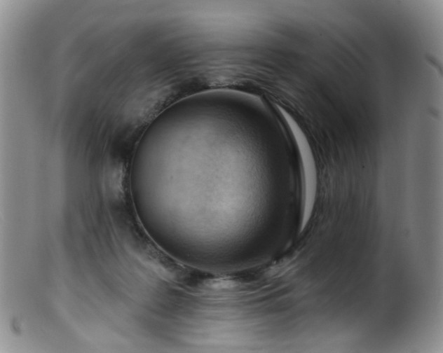X0000099480219200805161142