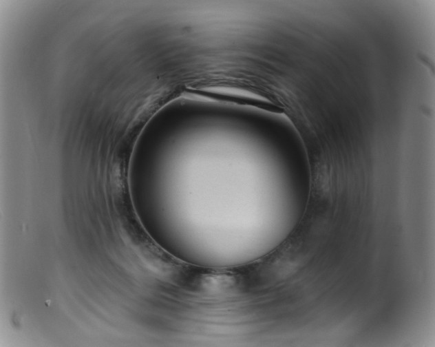 X0000099480220200805161142