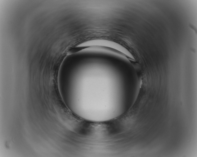 X0000099480221200805161142