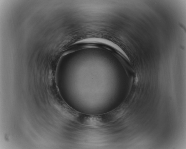 X0000099480223200805161142