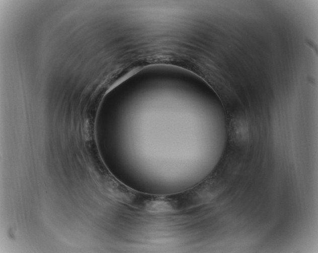 X0000099480224200805161142