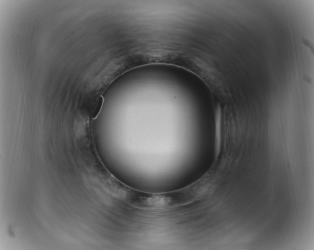 X0000099480225200805161142
